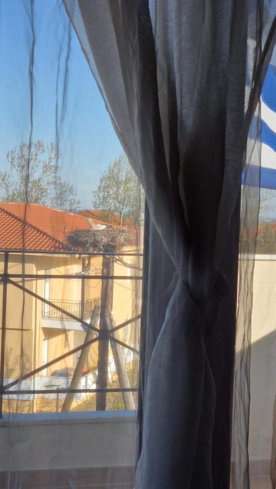 Tycherón Kofinaki Apartment 1 מראה חיצוני תמונה